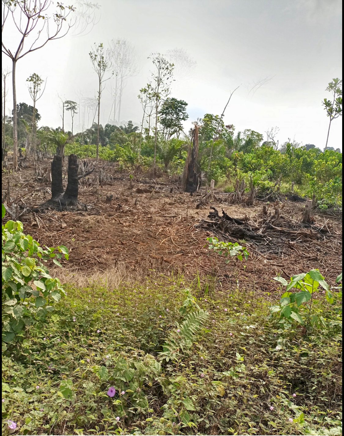 Terrain à vendre à Yassa