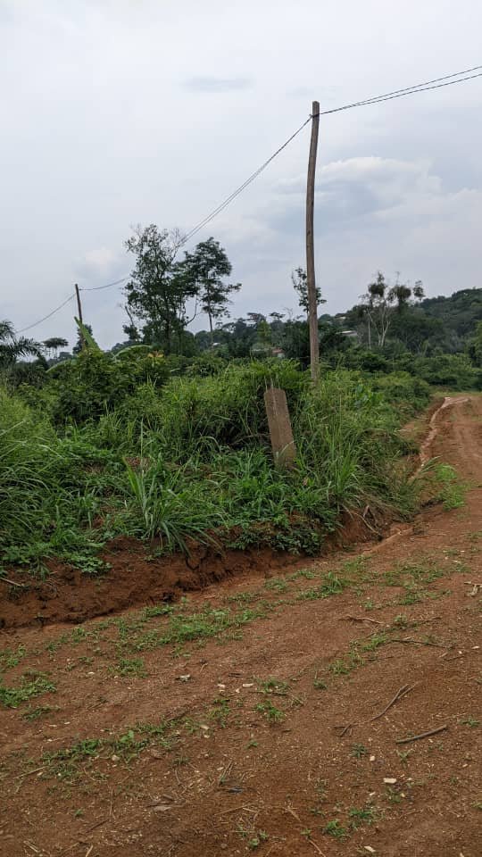 terrain à vendre au quartier Nkolnda bien situé (proche d'Odza)