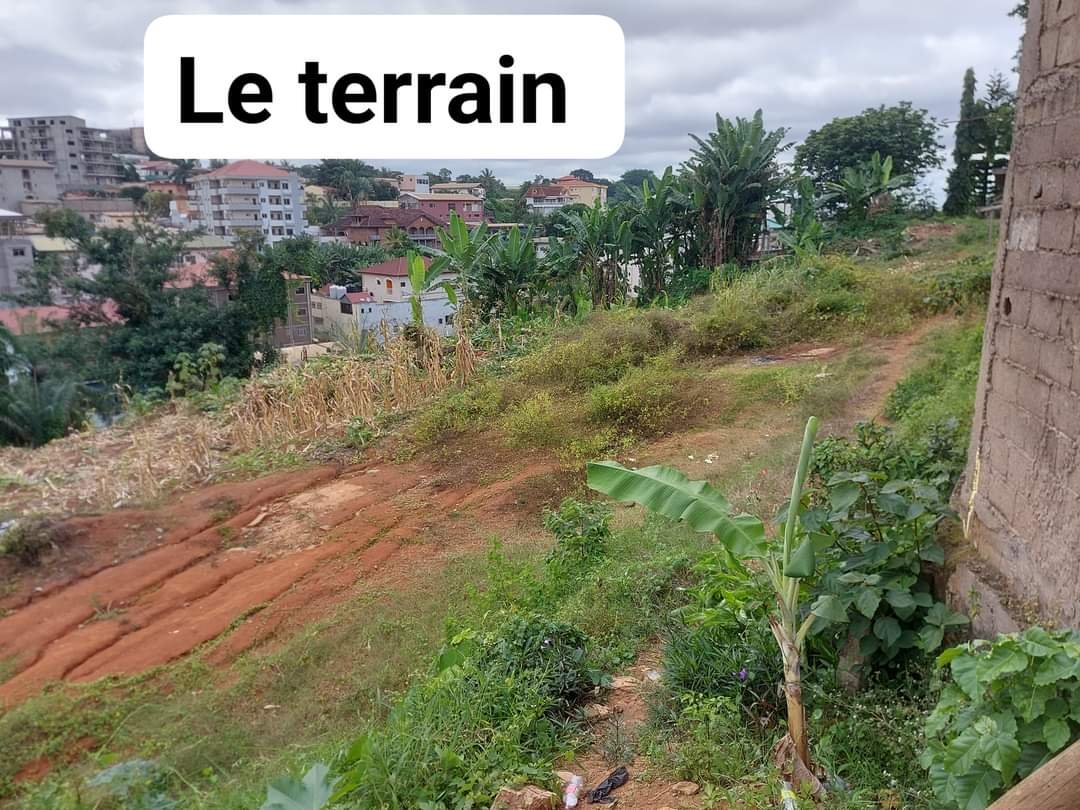 Terrain à vendre à Bastos