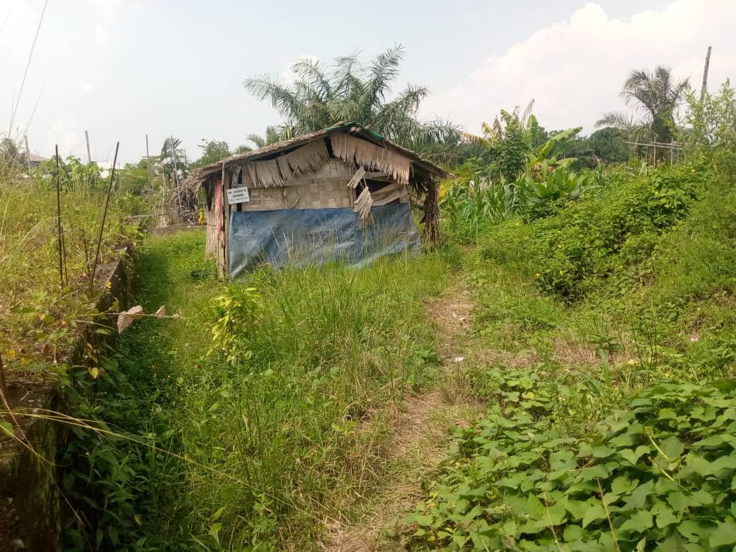 Terrain résidentiel à vendre à Bojongo à Douala