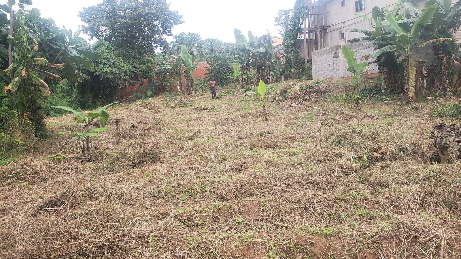 Terrain a vendre a Etoudi abatoire (nkolbong)